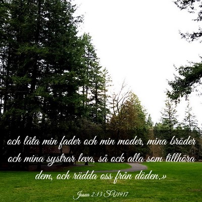Picture 03 - Josua 2:13 SV1917 - och låta min fader och min moder, mina bröder - Bible Verse Picture
