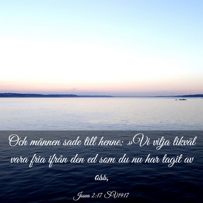 Picture 03 - Josua 2:17 SV1917 - Och männen sade till henne: »Vi vilja likväl - Bible Verse Picture