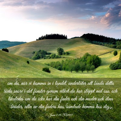 Picture 03 - Josua 2:18 SV1917 - om du, när vi komma in i landet, underlåter att - Bible Verse Picture