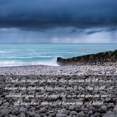 Picture 03 - Josua 2:19 SV1917 - Dock, om någon går åstad, utom dörrarna till - Bible Verse Picture