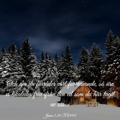 Picture 03 - Josua 2:20 SV1917 - Och om du förråder vårt förehavande, så äro - Bible Verse Picture