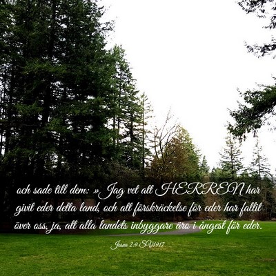 Picture 03 - Josua 2:9 SV1917 - och sade till dem: »Jag vet att HERREN har givit - Bible Verse Picture