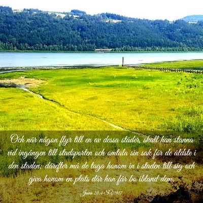 Picture 03 - Josua 20:4 SV1917 - Och när någon flyr till en av dessa städer, - Bible Verse Picture