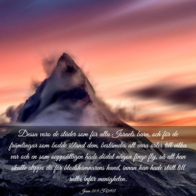 Picture 03 - Josua 20:9 SV1917 - Dessa voro de städer som för alla Israels barn, - Bible Verse Picture