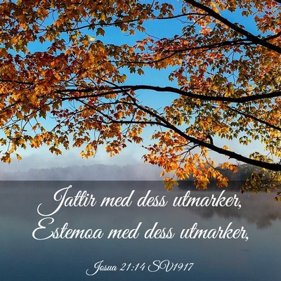Picture 03 - Josua 21:14 SV1917 - Jattir med dess utmarker, Estemoa med dess - Bible Verse Picture