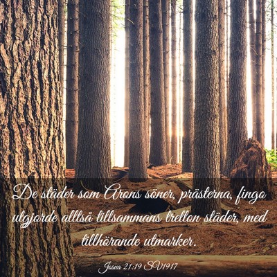Picture 03 - Josua 21:19 SV1917 - De städer som Arons söner, prästerna, fingo - Bible Verse Picture