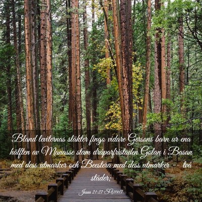 Picture 03 - Josua 21:27 SV1917 - Bland leviternas släkter fingo vidare Gersons - Bible Verse Picture