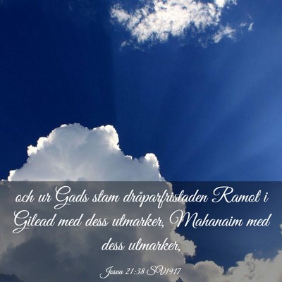 Picture 03 - Josua 21:38 SV1917 - och ur Gads stam dråparfristaden Ramot i Gilead - Bible Verse Picture