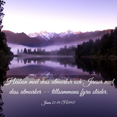 Picture 03 - Josua 21:39 SV1917 - Hesbon med dess utmarker och Jaeser med dess - Bible Verse Picture