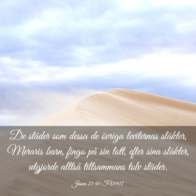 Picture 03 - Josua 21:40 SV1917 - De städer som dessa de övriga leviternas - Bible Verse Picture