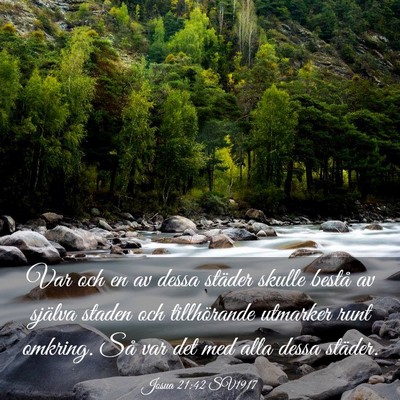 Picture 03 - Josua 21:42 SV1917 - Var och en av dessa städer skulle bestå av - Bible Verse Picture