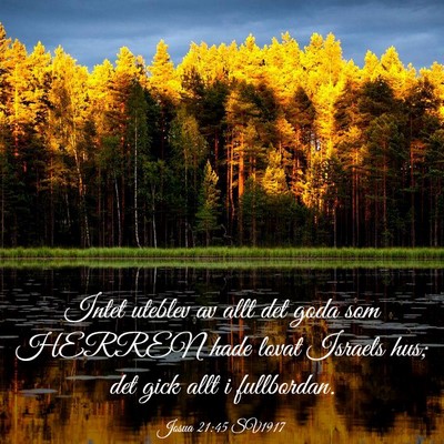 Picture 03 - Josua 21:45 SV1917 - Intet uteblev av allt det goda som HERREN hade - Bible Verse Picture