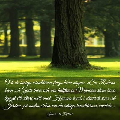 Picture 03 - Josua 22:11 SV1917 - Och de övriga israeliterna fingo höra sägas: - Bible Verse Picture