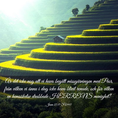 Picture 03 - Josua 22:17 SV1917 - Är det icke nog att vi hava begått - Bible Verse Picture