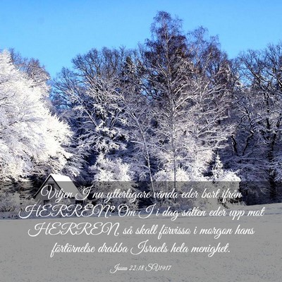 Picture 03 - Josua 22:18 SV1917 - Viljen I nu ytterligare vända eder bort ifrån - Bible Verse Picture