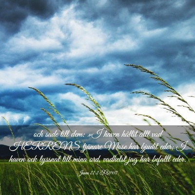 Picture 03 - Josua 22:2 SV1917 - och sade till dem: »I haven hållit allt vad - Bible Verse Picture