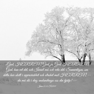Picture 03 - Josua 22:22 SV1917 - »Gud, HERREN Gud, ja, Gud, HERREN Gud, han vet - Bible Verse Picture