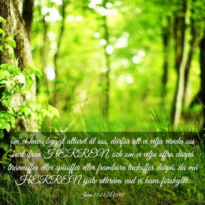 Picture 03 - Josua 22:23 SV1917 - om vi hava byggt altaret åt oss, därför att vi - Bible Verse Picture
