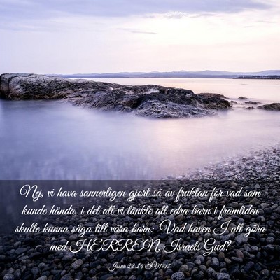 Picture 03 - Josua 22:24 SV1917 - Nej, vi hava sannerligen gjort så av fruktan - Bible Verse Picture