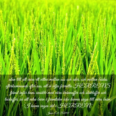 Picture 03 - Josua 22:27 SV1917 - utan till att vara ett vittne mellan oss och - Bible Verse Picture