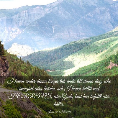 Picture 03 - Josua 22:3 SV1917 - I haven under denna långa tid, ända till denna - Bible Verse Picture