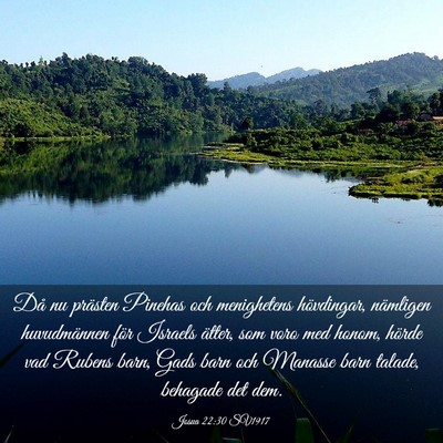 Picture 03 - Josua 22:30 SV1917 - Då nu prästen Pinehas och menighetens - Bible Verse Picture