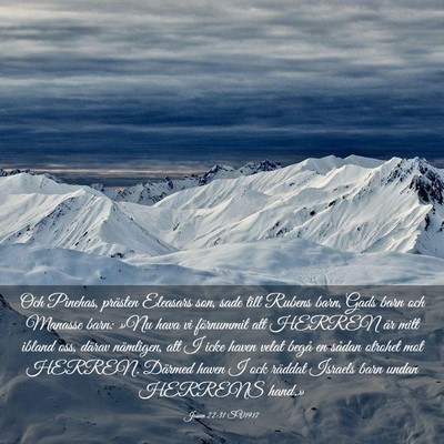 Picture 03 - Josua 22:31 SV1917 - Och Pinehas, prästen Eleasars son, sade till - Bible Verse Picture