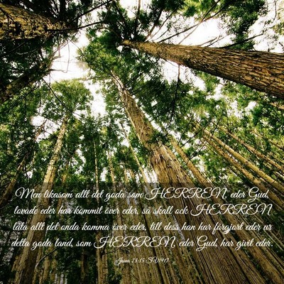 Picture 03 - Josua 23:15 SV1917 - Men likasom allt det goda som HERREN, eder Gud, - Bible Verse Picture