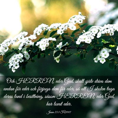 Picture 03 - Josua 23:5 SV1917 - Och HERREN, eder Gud, skall själv driva dem - Bible Verse Picture