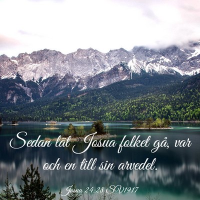 Picture 03 - Josua 24:28 SV1917 - Sedan lät Josua folket gå, var och en till sin - Bible Verse Picture