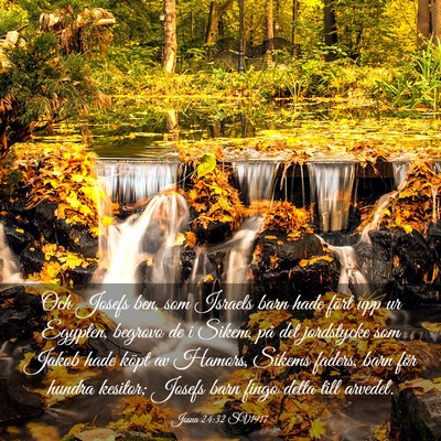 Picture 03 - Josua 24:32 SV1917 - Och Josefs ben, som Israels barn hade fört upp - Bible Verse Picture