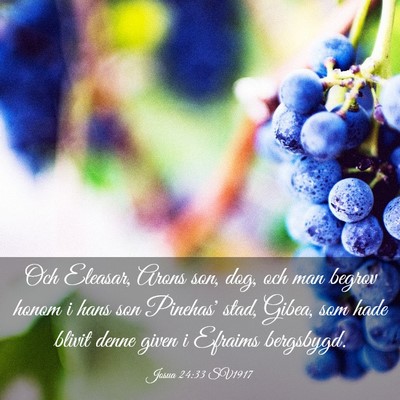 Picture 03 - Josua 24:33 SV1917 - Och Eleasar, Arons son, dog, och man begrov honom - Bible Verse Picture