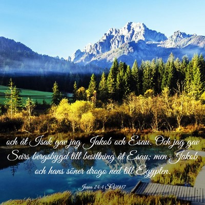 Picture 03 - Josua 24:4 SV1917 - och åt Isak gav jag Jakob och Esau. Och jag gav - Bible Verse Picture