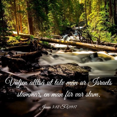 Picture 03 - Josua 3:12 SV1917 - Väljen alltså ut tolv män ur Israels stammar, - Bible Verse Picture