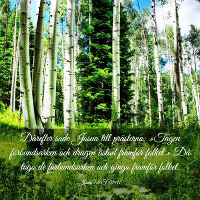 Picture 03 - Josua 3:6 SV1917 - Därefter sade Josua till prästerna: »Tagen - Bible Verse Picture