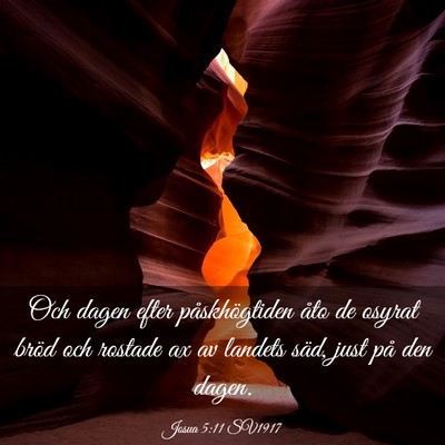 Picture 03 - Josua 5:11 SV1917 - Och dagen efter påskhögtiden åto de osyrat - Bible Verse Picture
