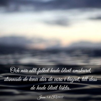 Picture 03 - Josua 5:8 SV1917 - Och när allt folket hade blivit omskuret, - Bible Verse Picture