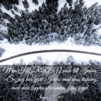 Picture 03 - Josua 6:2 SV1917 - Men HERREN sade till Josua: »Se, jag har givit - Bible Verse Picture