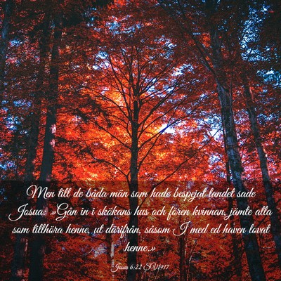 Picture 03 - Josua 6:22 SV1917 - Men till de båda män som hade bespejat landet - Bible Verse Picture