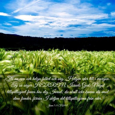 Picture 03 - Josua 7:13 SV1917 - Stå nu upp och helga folket och säg: Helgen - Bible Verse Picture