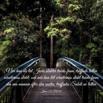Picture 03 - Josua 7:17 SV1917 - När han då lät Juda släkter träda fram, - Bible Verse Picture