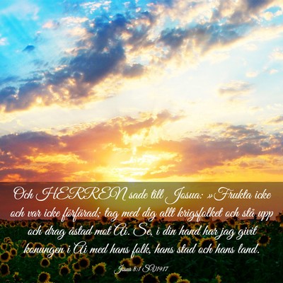 Picture 03 - Josua 8:1 SV1917 - Och HERREN sade till Josua: »Frukta icke och var - Bible Verse Picture