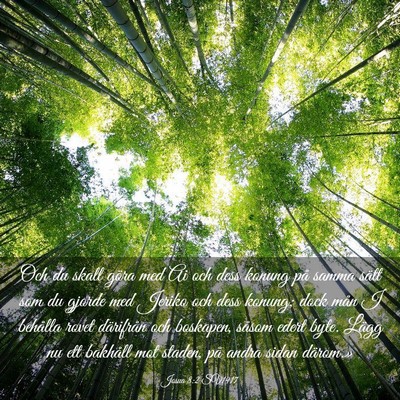 Picture 03 - Josua 8:2 SV1917 - Och du skall göra med Ai och dess konung på - Bible Verse Picture