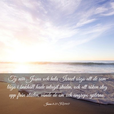 Picture 03 - Josua 8:21 SV1917 - Ty när Josua och hela Israel sågo att de som - Bible Verse Picture