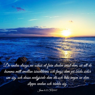 Picture 03 - Josua 8:22 SV1917 - De andra drogo nu också ut från staden emot - Bible Verse Picture