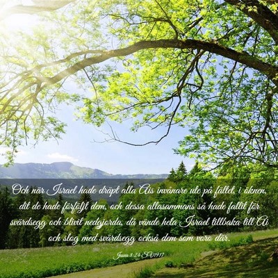 Picture 03 - Josua 8:24 SV1917 - Och när Israel hade dräpt alla Ais invånare - Bible Verse Picture
