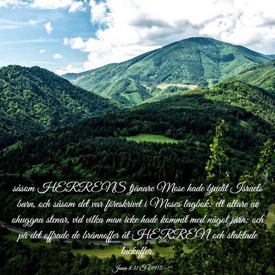Picture 03 - Josua 8:31 SV1917 - såsom HERRENS tjänare Mose hade bjudit Israels - Bible Verse Picture