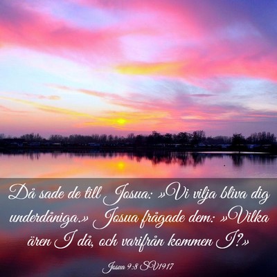 Picture 03 - Josua 9:8 SV1917 - Då sade de till Josua: »Vi vilja bliva dig - Bible Verse Picture