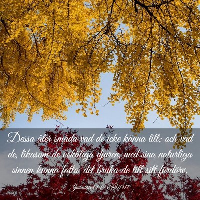 Picture 03 - Judasbrevet 1:10 SV1917 - Dessa åter smäda vad de icke känna till; och - Bible Verse Picture
