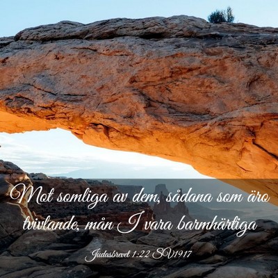 Picture 03 - Judasbrevet 1:22 SV1917 - Mot somliga av dem, sådana som äro tvivlande, - Bible Verse Picture